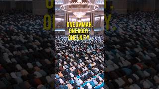 Download lagu One Ummah. One Body. One Unity. #nasheed https://youtu.be/X_2iaRdggqs mp3