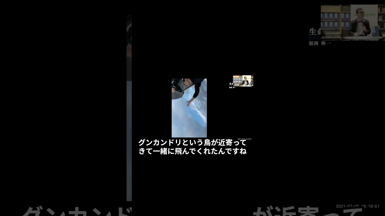 【#shorts】ガラパゴスの生物は、なぜ人を恐れないのか？①