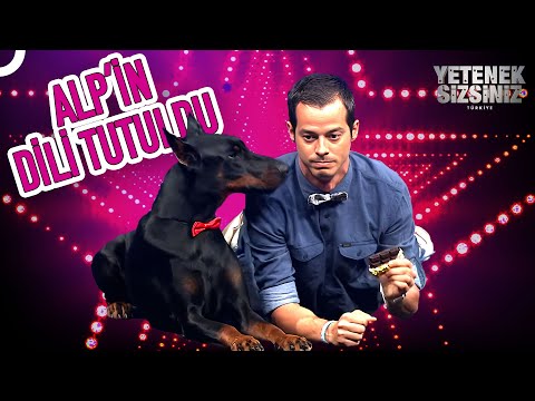 Yetenekli Köpek Mate, Alp Kırşan'ı Kovaladı! 😂 | Yetenek Sizsiniz Türkiye