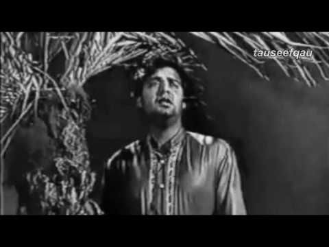 Udas hai dil Nazar Parishan - A tribute to Salim Raza by sonu Nigam
