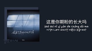 Download lagu 张齐山 ZQS 장제산 - 这是你期盼的长大吗 이것이 네가 바라던 어른의 모습이야? | 많이 실망했지.. 많이 힘들지.. 🌫 [중국노래/가사/병음/발음/번역] mp3