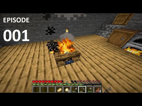 E001 - NEW WORLD - Let's play Minecraft survival solo