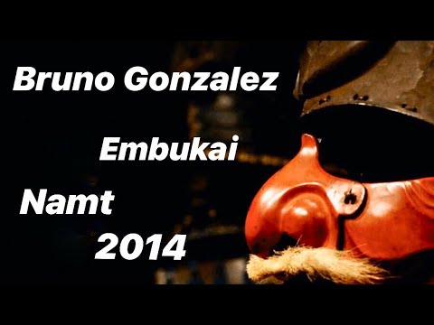 Aikido Bruno Gonzalez , démonstration NAMT 2014