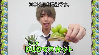 【メントス　大人のプチ贅沢】メントス DUO マスカット＆ソーダ