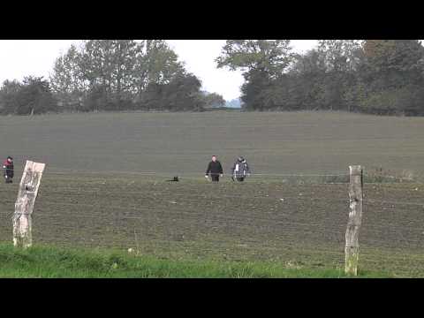 Erling Mathisen mit Henriette vom luberg gruppe A 93 punkte