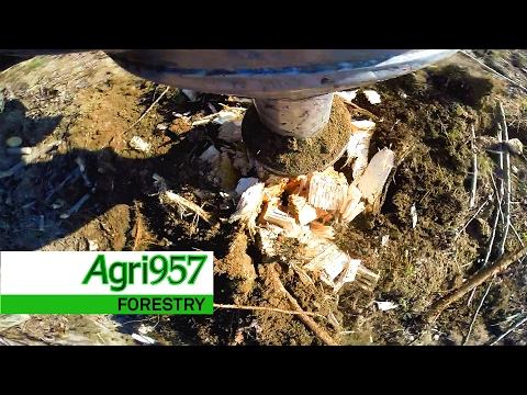 CASE IH MANGUM 335 & ROTOR STUMP GRINDER | Removing Stumps - CASE IH Power SOUND | Forestry