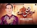 Sardar Ali A S Ay Ghulam Abbas Kamalia New Qaseeda 2024 25 Qaseeda Qasida Official Video