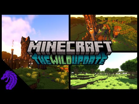 Minecraft Wild Update | Minecraft 1.19 | New Biome | Oak Forest | Biome Update Ideas