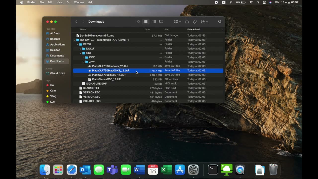 Install SAP Gui 750 on Mac | Fix error Java application lauch failed