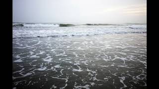 The Shanghai Restoration Project - When Will You Return?