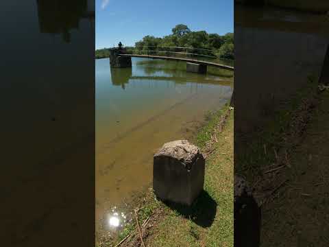 Dique Puerta de Díaz, en Coronel Moldes 🌳🧡 #salta #vistashermosas #travel #paisajesextremos #shorts