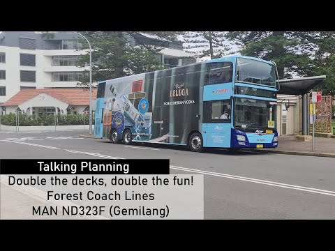 Forest Coachlines MAN ND323F (Gemilang) review