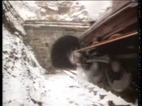 Video thumbnail for Say You’re Wrong