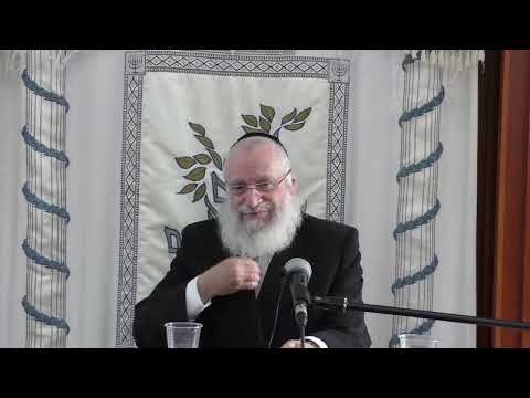 אונס באדם המזיק | שיעור כללי מאת מרן הרב אשר וייס שליט"א | מסכת בבא קמא