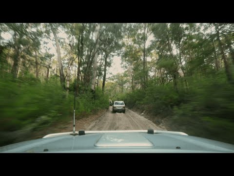 3 Day K'gari (Fraser Island) Tag-along Tour | Dingos K'gari Adventures