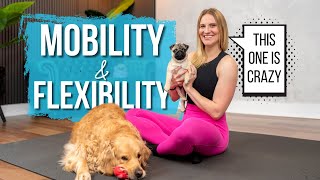 20 min. Full Body MOBILITY & STRETCH to increase flexibility