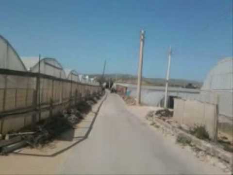 Un pò di penne con il mio ex scooter.wmv