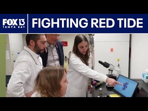 Florida Trend Video Pick - Video