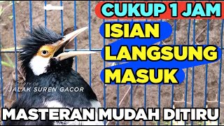 Download lagu BURUNG JALAK SUREN GACOR ISIAN KOMPLIT sangat AMPUH untuk PANCINGAN dan MASTERAN semua jenis JALAK mp3 Download lagu BURUNG JALAK SUREN GACOR ISIAN KOMPLIT sangat AMPUH untuk PANCINGAN dan MASTERAN semua jenis JALAK mp3