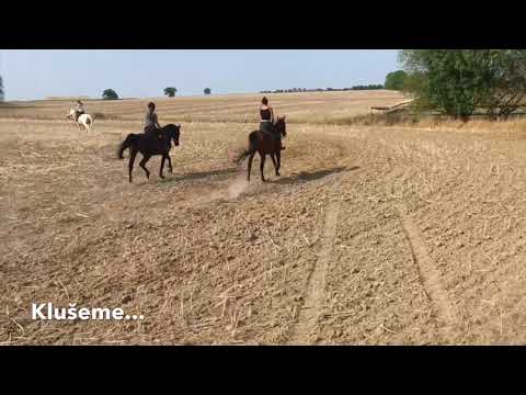 Vyjíždka ve skvělé partě