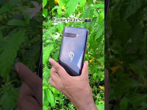 Asus Rog 3 Camera Test 📸 #shorts #youtubeshorts