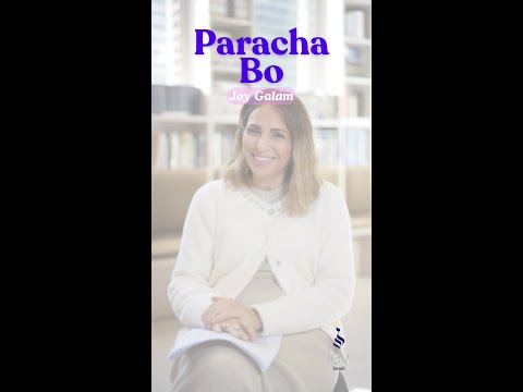 Paracha Bo – Se réjouir des petites victoires