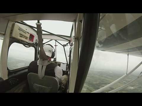 IAC primary sequence