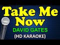 TAKE ME NOW David Gates HD Karaoke