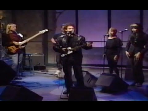 "Walk On The Wild Side" with Lou Reed live on Letterman