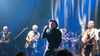 Paul Carrack - What&#39;s going on