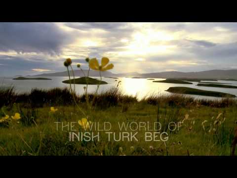 Heart Beat, on Inish Turk Beg - Live life at a Tilt!