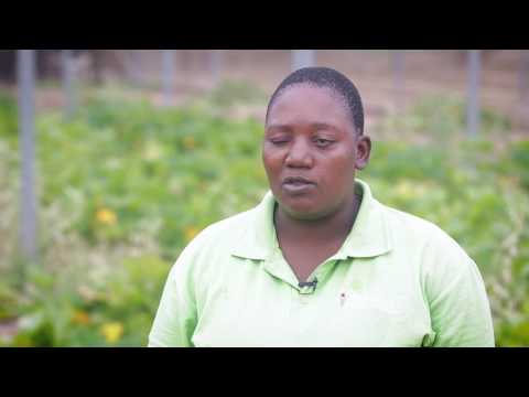 TIMBALI MARKETING video 2016 10 24 HD