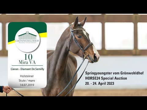 Springyoungsterauktion Lot 10 Mira VA Stute v. Cieran - Diamant De Semilly
