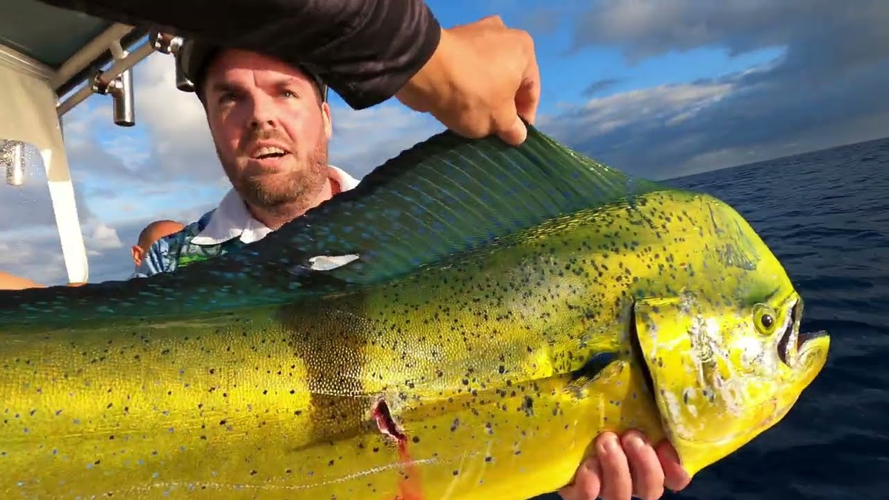 Explore Gold Coast fishing with this traveler's video.