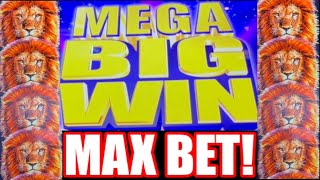 **INSANE MEGA BIG WIN!!!** MAX BET!!! King of Africa Slot Machine