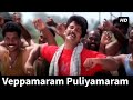 Saamy Vikram வேப்பமரம் புளியமரம் Veppamaram Puliyamaram Saamy Vi