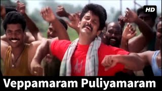 #saamy #vikram வேப்பமரம் புளியமரம்  Veppamaram Puliyamaram -Saamy | Vikram | Tamil Video Song