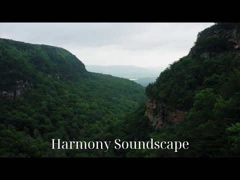 Excellent, beautiful, piano, relaxation music for a wonderful chill, relaxation, and home comfort!!!