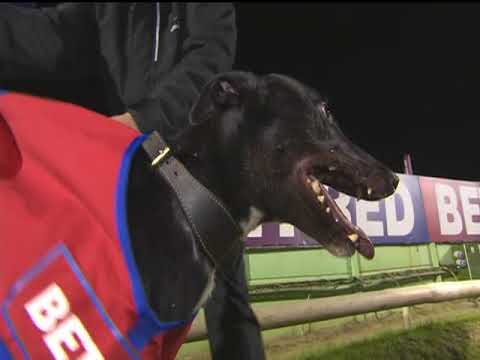 2017 BETFRED SPRINT - T2 AFFANE PARTY