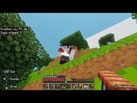A wild Lizzik appears [Plot Twist SMP ep 2]