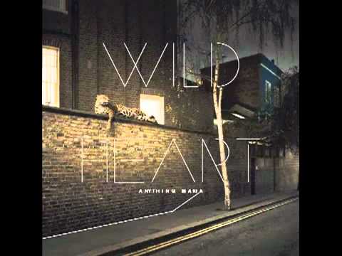 Anything MARIA  - Wild Heart