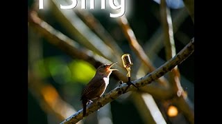 Sarantos I Sing Official (No Subtitles) Music Video - new summer Top 40 pop 2015 song