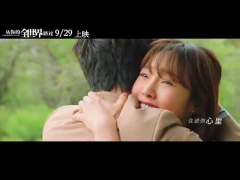 王菲 《你在终点等我》 电影《从你的全世界路过》片尾曲 MV 高清视频