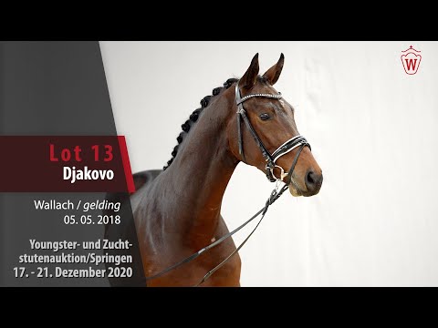 Youngster- u. Zuchtstutenauktion/Springen Lot 13 Djakovo Wallach v. Diamant de Plaisir - Riccione