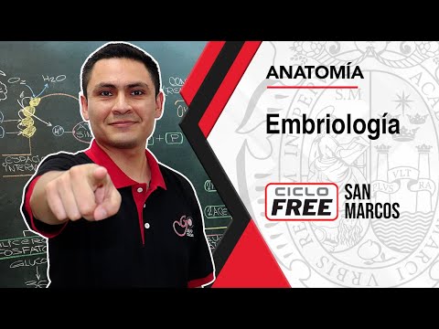ANATOMÍA - Embriología  [CICLO FREE]