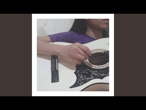 Taylor - Aneka Abarrientos
