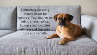 Upholstery Cleaning Service Brisbane
