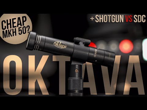 MKH 50 Cheaper Alternative! Oktava MK-012 Test, Comparison, & Review (vs MKH50, MKH416, NTG3 & more)