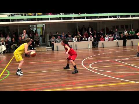 Verslag HLB accountants tegen Probuild Lions