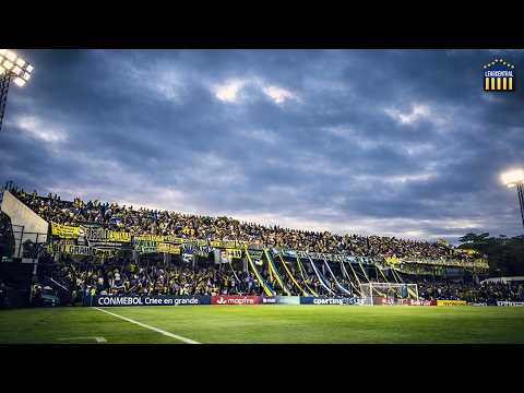 "CENTRAL INVADIO PARAGUAY - RECIBIMIENTO ROSARIO CENTRAL VS LIBERTAD - COPA LIBERTADORES 2026" Barra: Los Guerreros &bull; Club: Rosario Central &bull; País: Argentina